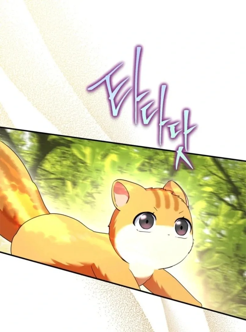 I Became A Squirrel Seeking For The Villain Chapter 41 - page 50
