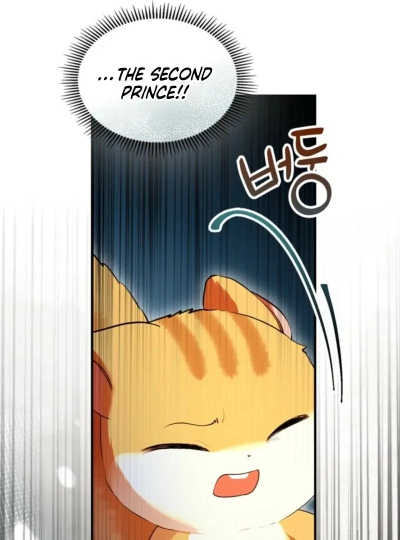 I Became A Squirrel Seeking For The Villain Chapter 41 - page 66