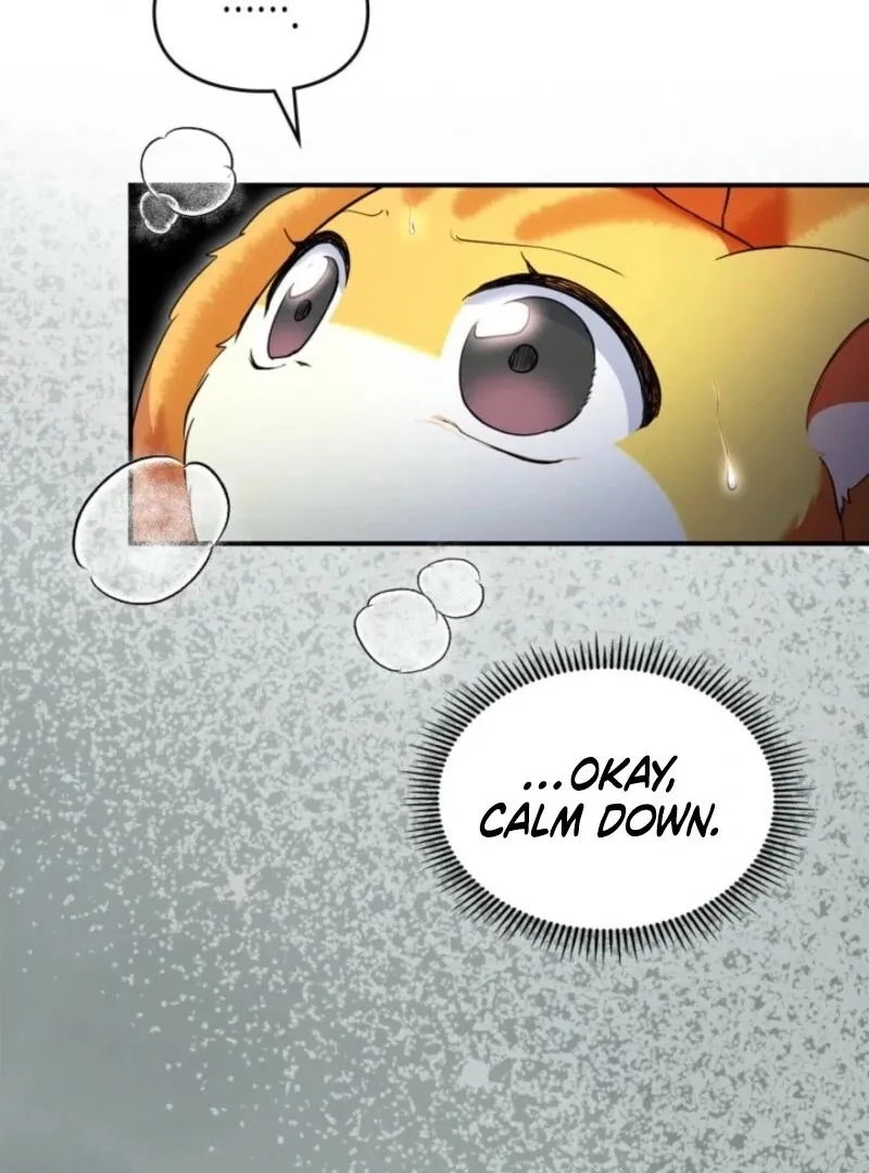I Became A Squirrel Seeking For The Villain Chapter 41 - page 73