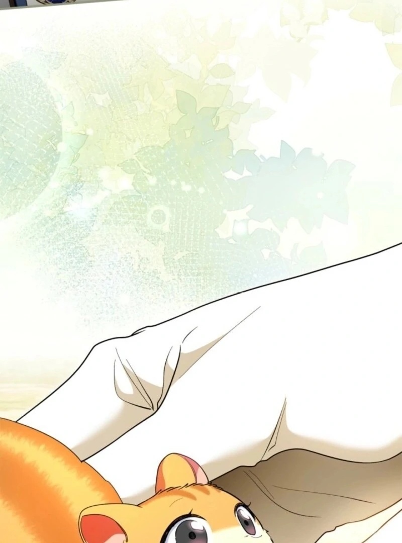 I Became A Squirrel Seeking For The Villain Chapter 43 - page 51