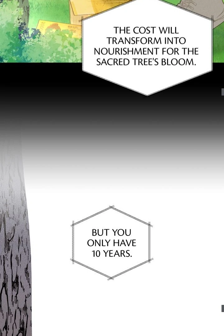 Sorang's Flower Art Shop【Official】 Chapter 5 - page 37