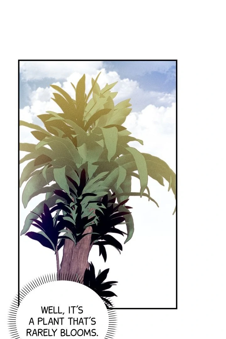Sorang's Flower Art Shop【Official】 Chapter 8 - page 51
