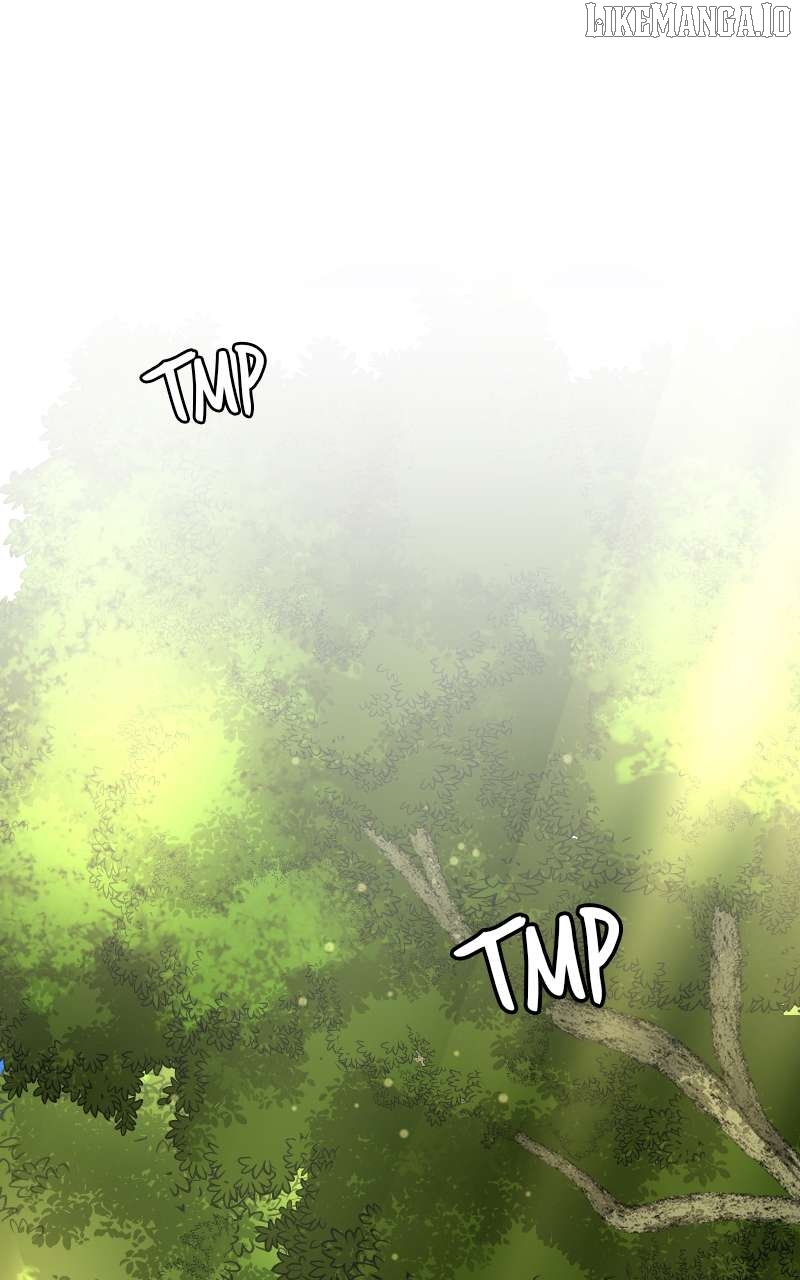 The Laws of Cultivation Chapter 39 - page 1