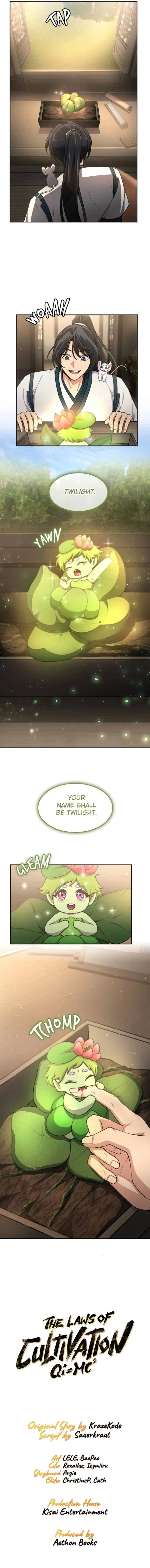 The Laws of Cultivation Chapter 41 - page 11