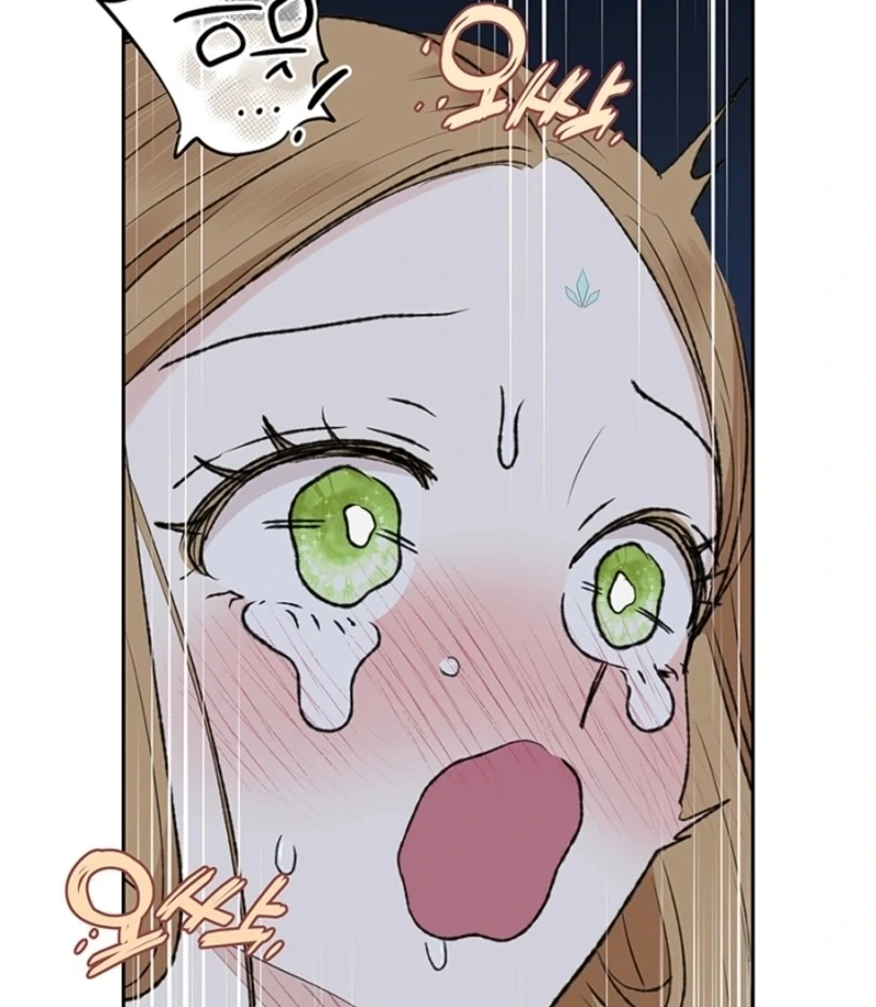 The Mating of Elves Chapter 46 - page 95