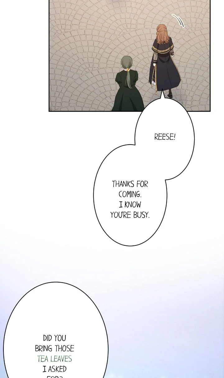 Reincarnated as the Antagonist's Maid Chapter 49 - page 10