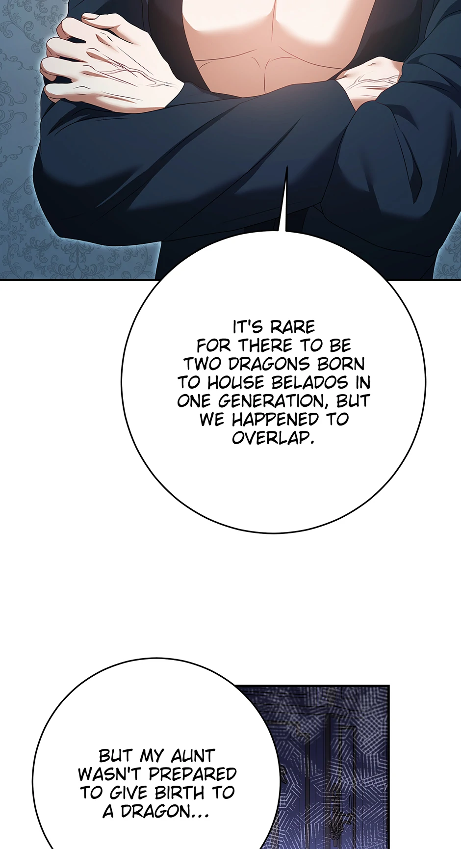 The Dragon Duke's Wife Chapter 30 - page 12