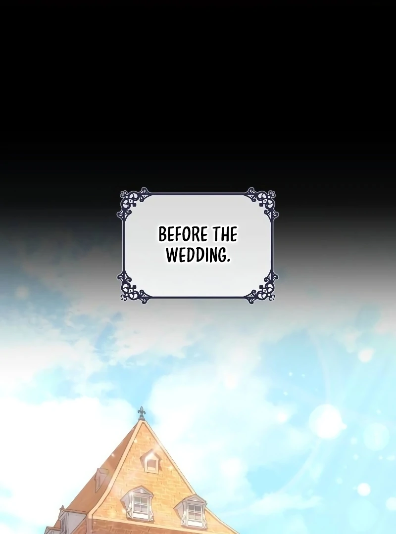 In the Name of Special Contract Marriage Chapter 15 - page 2