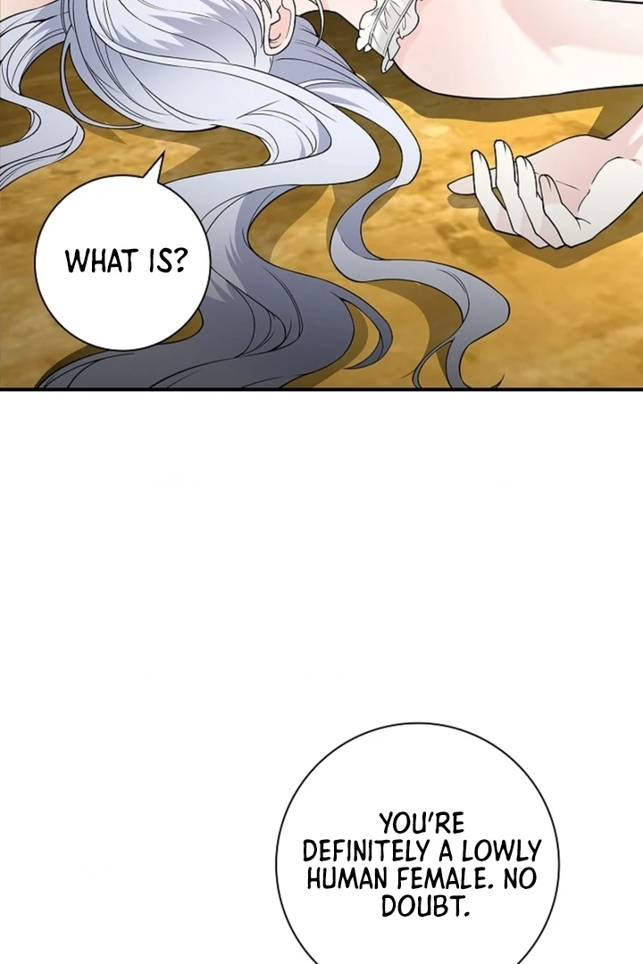 The Saintess's Petals Become Wet Chapter 17 - page 52