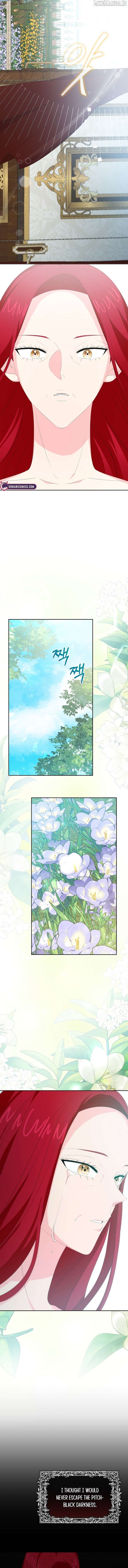 The Time-Limited Villainess Who Makes Medicine Chapter 26 - page 9