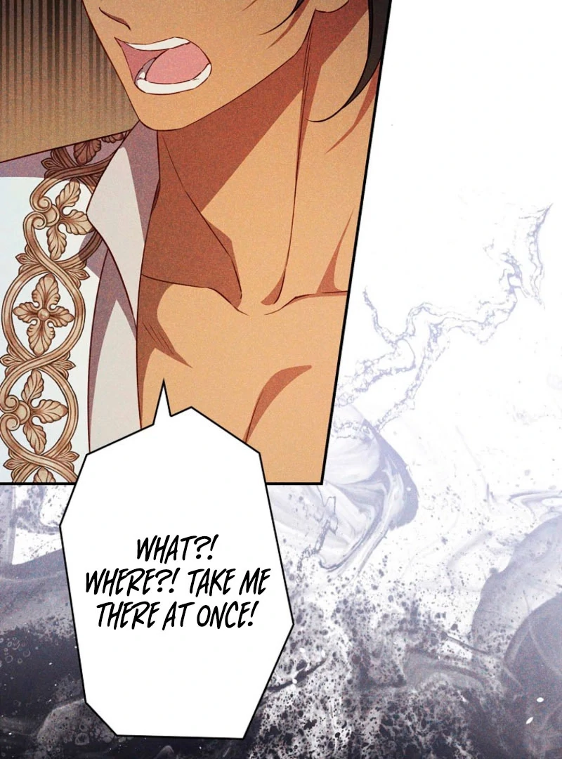 Lily Bush's Substitute Marriage Chapter 28 - page 17