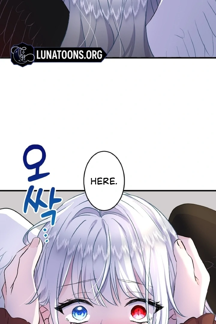 The Forbidden Girl Chapter 29 - page 67