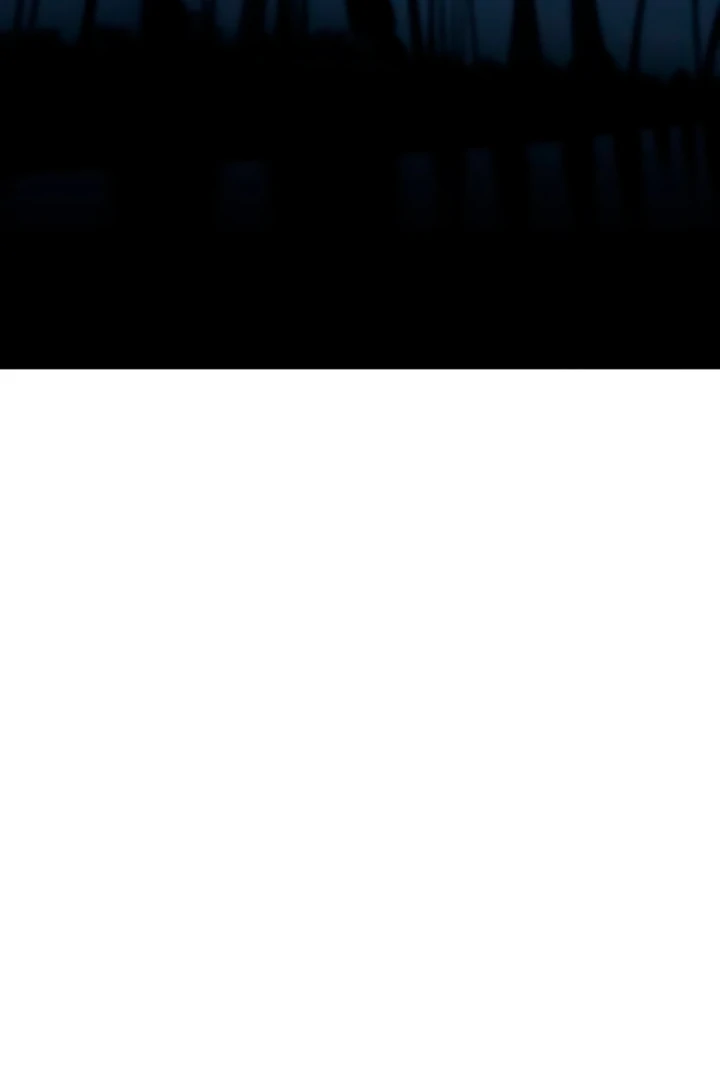 Whisper of the Night Chapter 14 - page 37