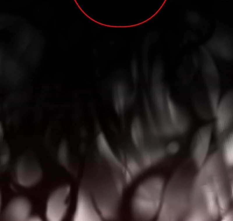 The Old Prisoner Lives in Solitude Chapter 7 - page 197