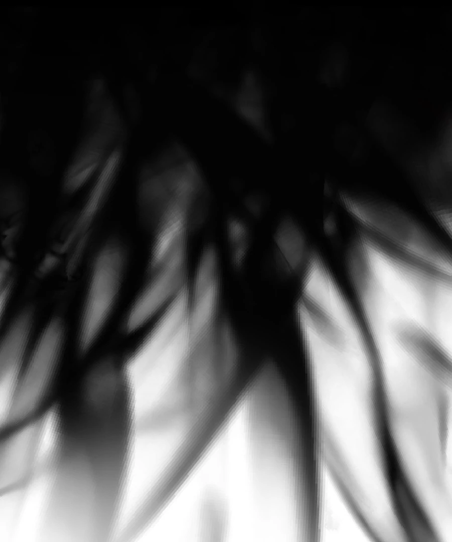 The Old Prisoner Lives in Solitude Chapter 8 - page 204