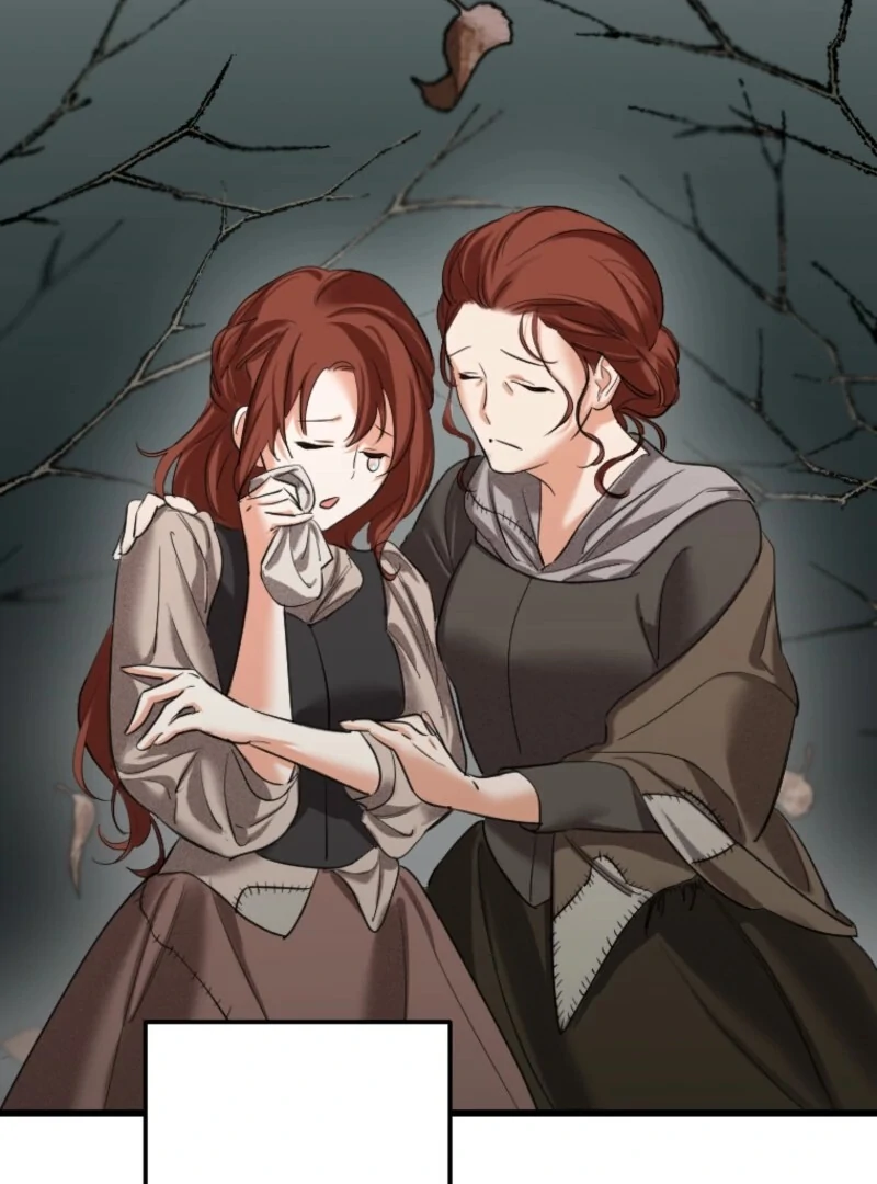 It’s Your Fault for Being Poor The Fallen Noble Lady Faces the Consequences of a Broken Engagement Chapter 3 - page 14