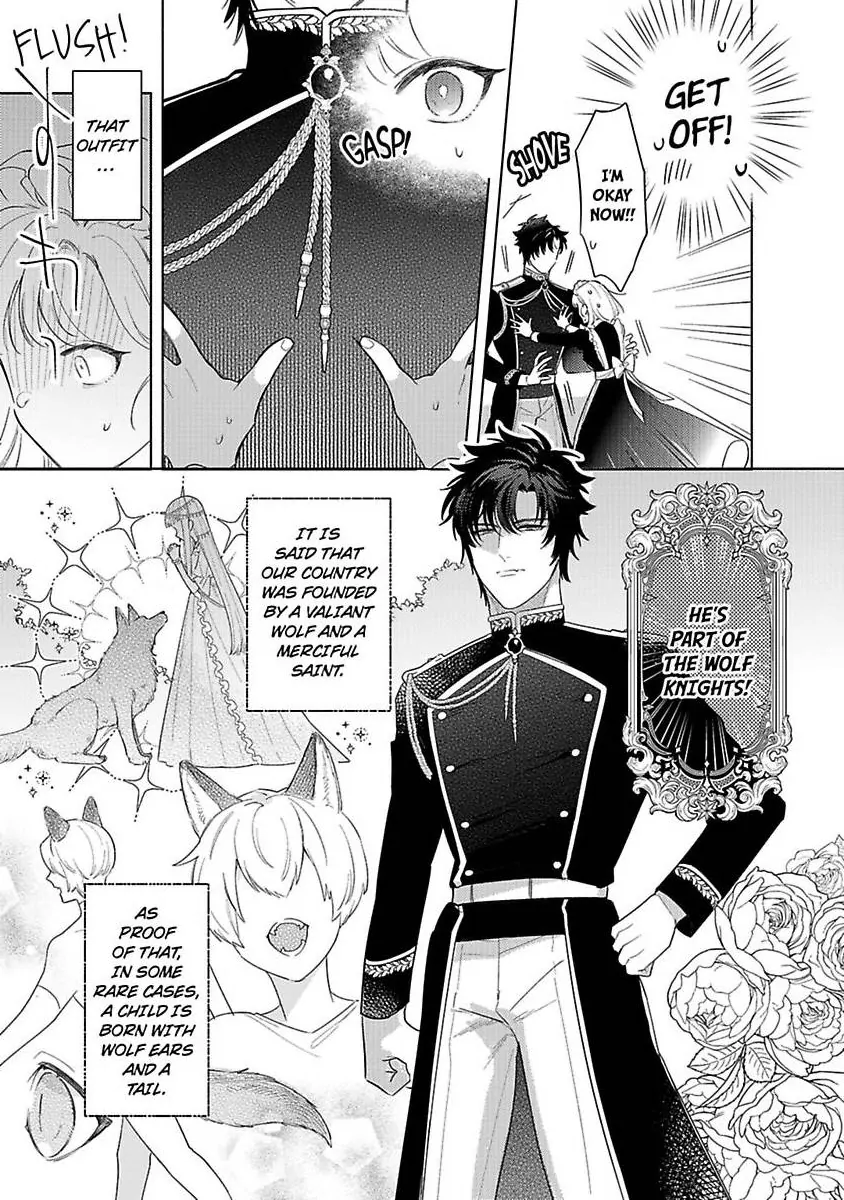 Ookami Kishi-sama ga Watashi wo Sukisugite Sotobori wo Umete Kimasu!? - Dekasegi Reijou Kekkon Monogatari Chapter 1 - page 9
