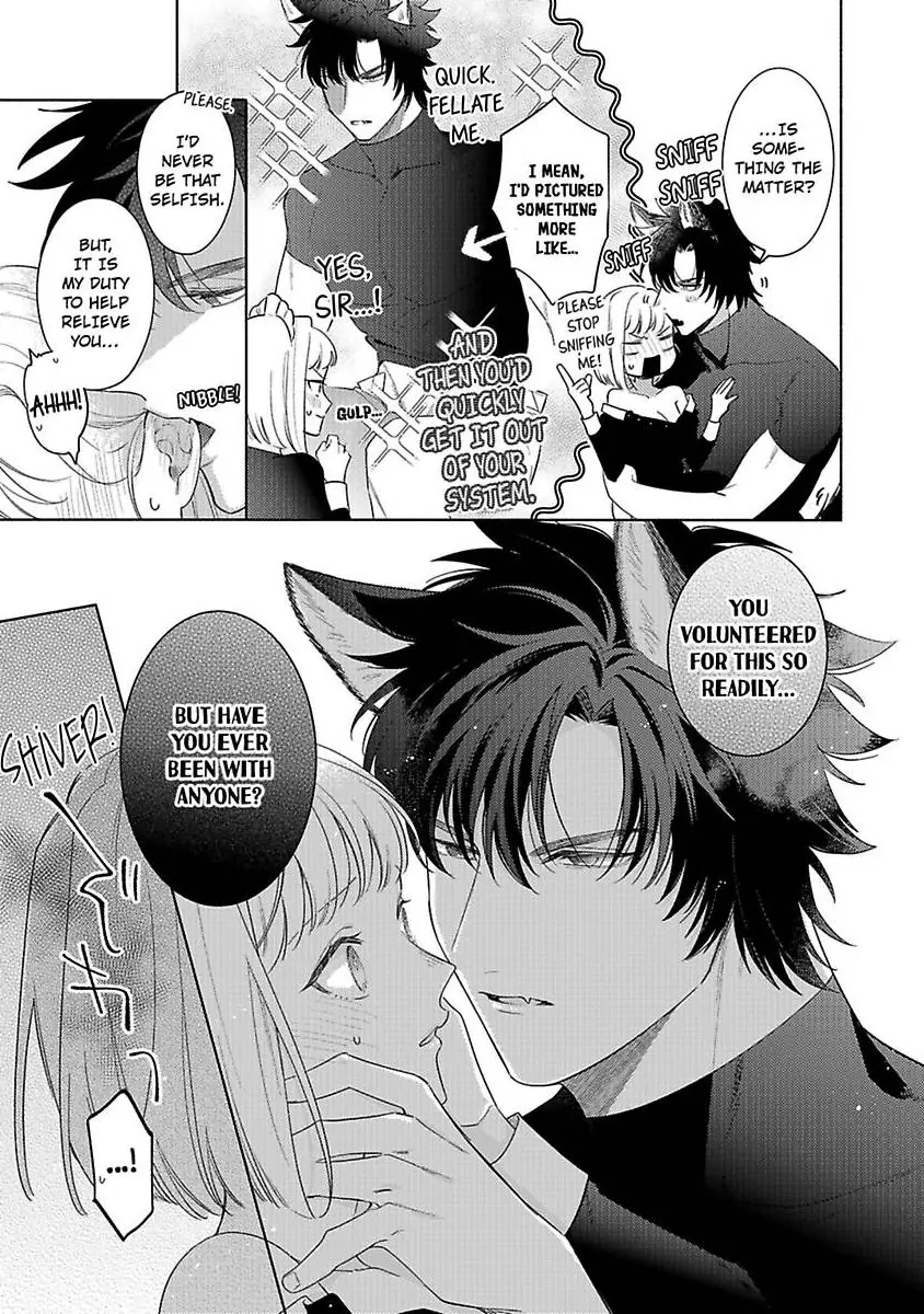 Ookami Kishi-sama ga Watashi wo Sukisugite Sotobori wo Umete Kimasu!? - Dekasegi Reijou Kekkon Monogatari Chapter 1 - page 27