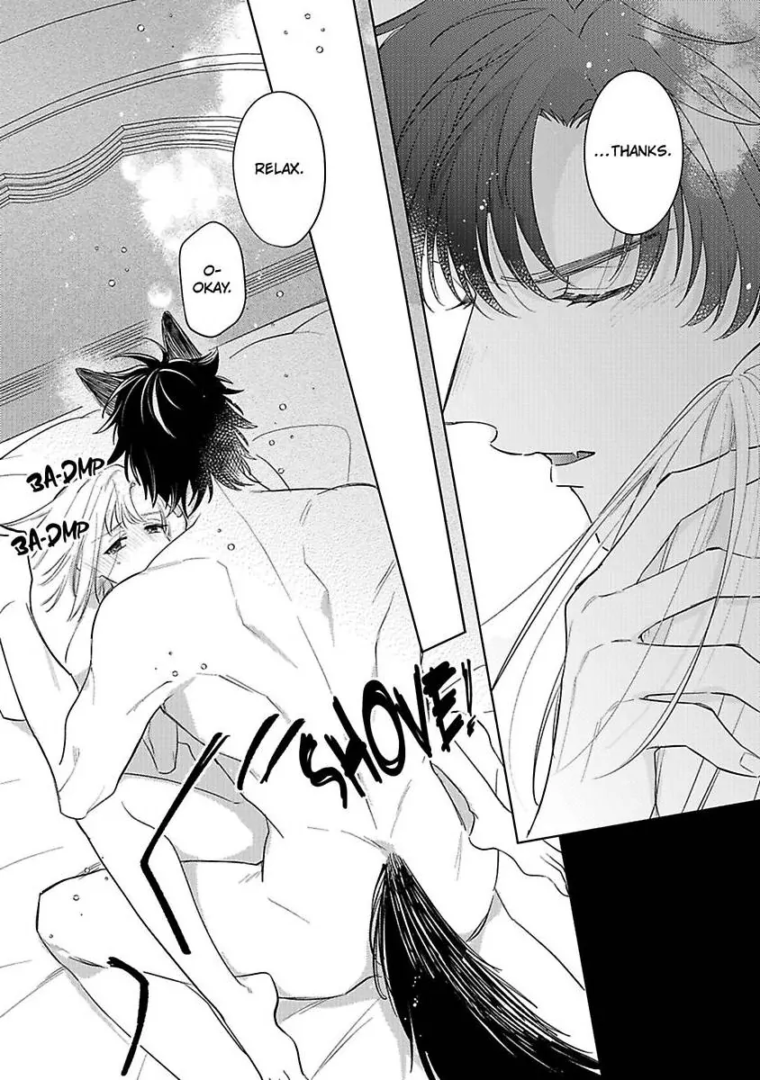 Ookami Kishi-sama ga Watashi wo Sukisugite Sotobori wo Umete Kimasu!? - Dekasegi Reijou Kekkon Monogatari Chapter 2 - page 15