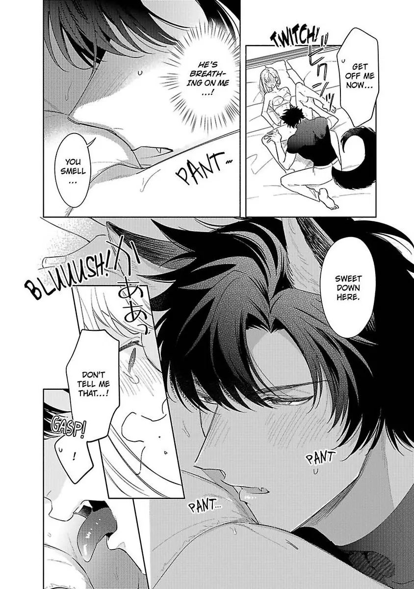 Ookami Kishi-sama ga Watashi wo Sukisugite Sotobori wo Umete Kimasu!? - Dekasegi Reijou Kekkon Monogatari Chapter 2 - page 6