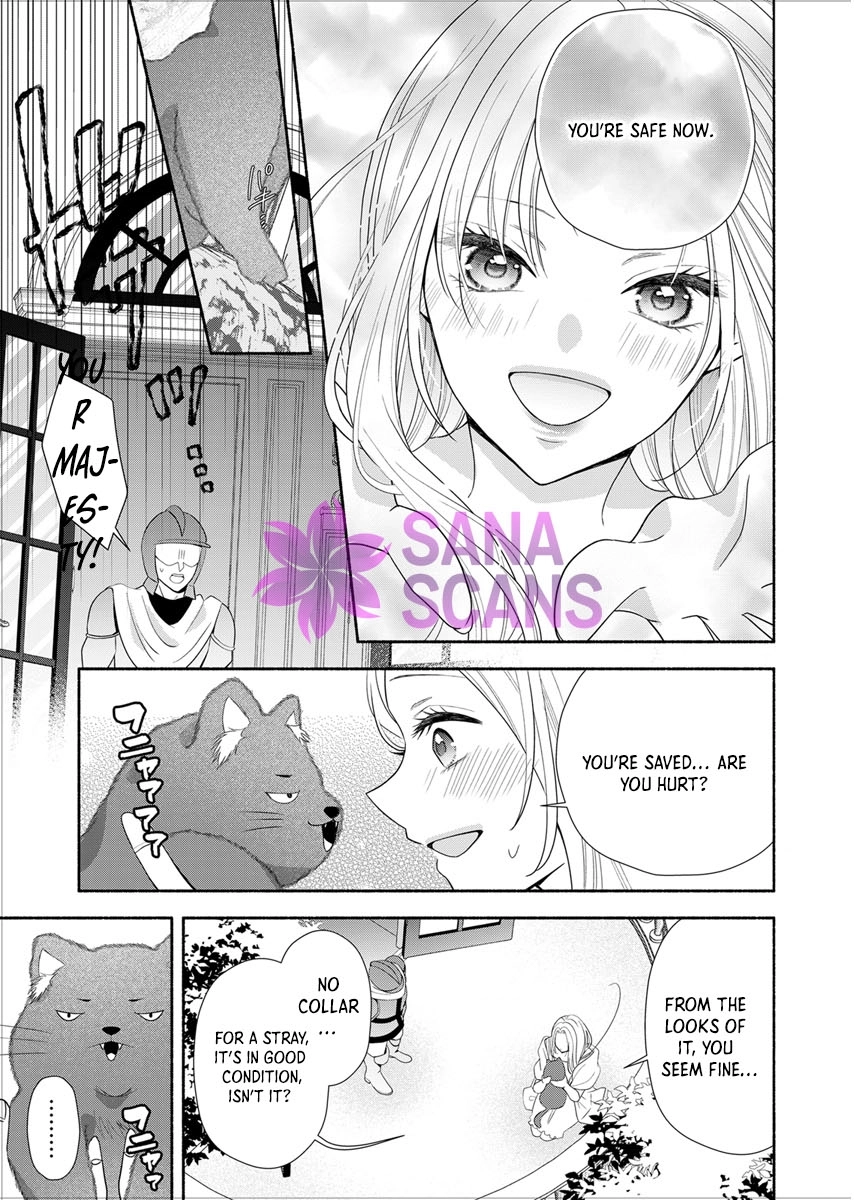 The Coldhearted Emperor and the Small Kingdom’s Princess’s White Marriage Chapter 1 - page 30