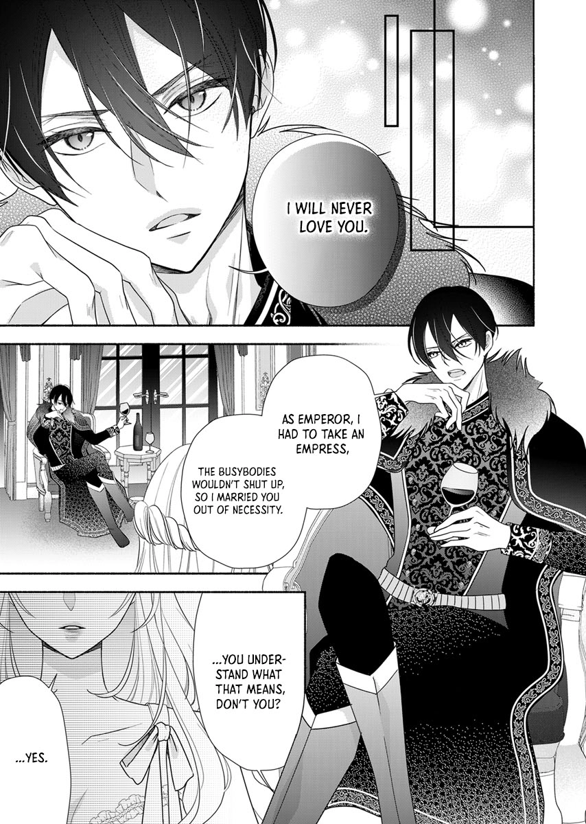 The Coldhearted Emperor and the Small Kingdom’s Princess’s White Marriage Chapter 1 - page 4