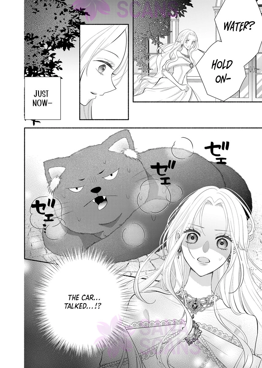 The Coldhearted Emperor and the Small Kingdom’s Princess’s White Marriage Chapter 2 - page 27