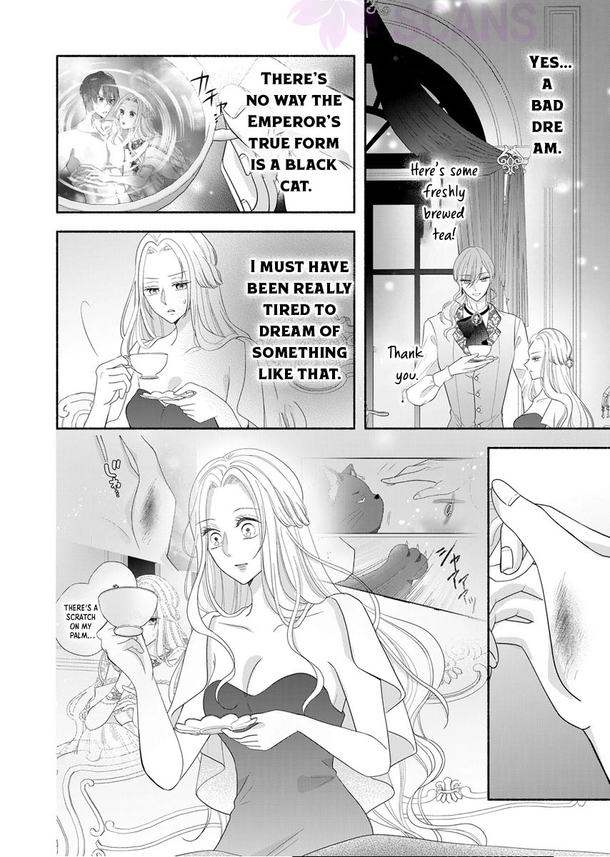 The Coldhearted Emperor and the Small Kingdom’s Princess’s White Marriage Chapter 3 - page 13
