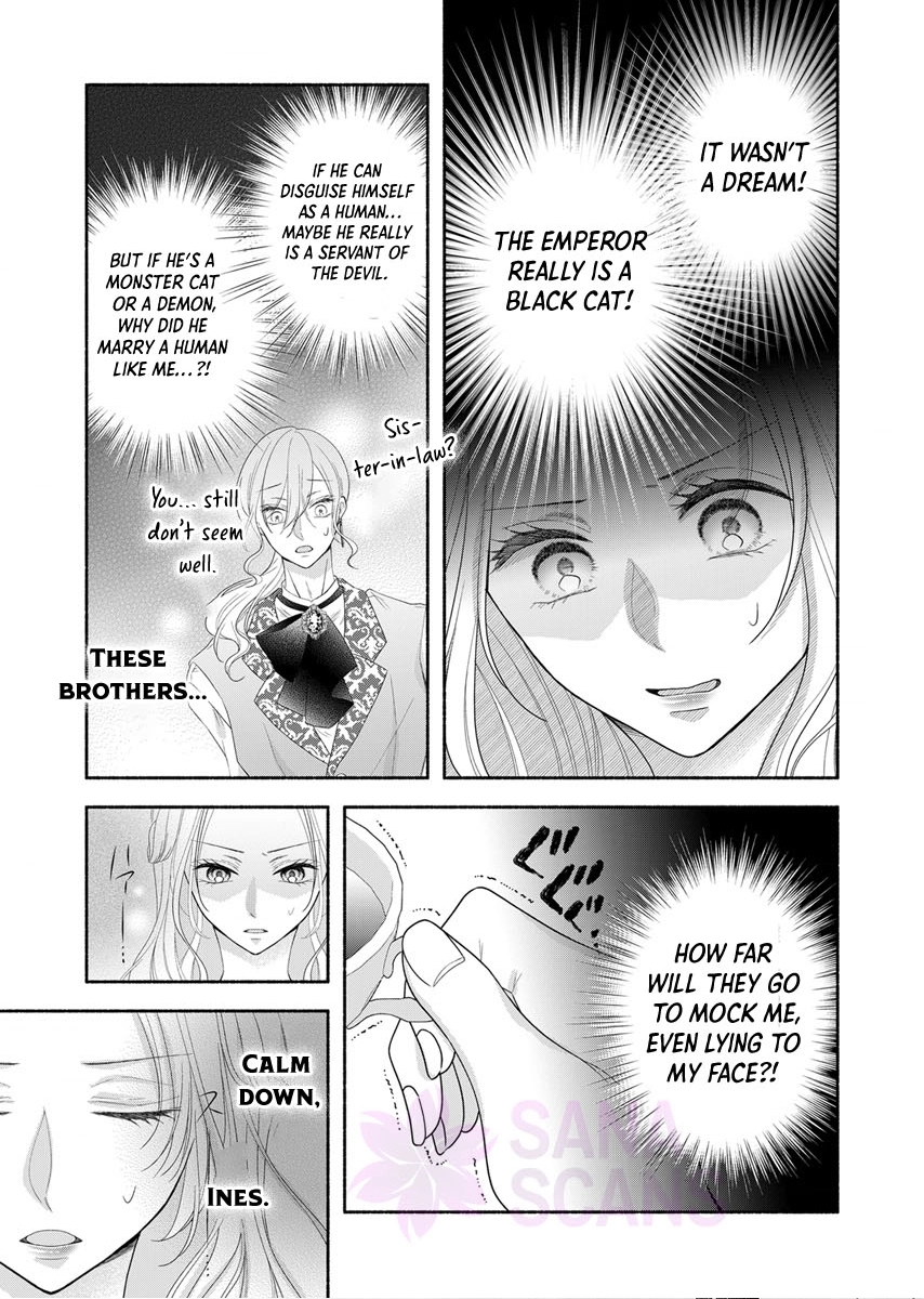 The Coldhearted Emperor and the Small Kingdom’s Princess’s White Marriage Chapter 3 - page 14