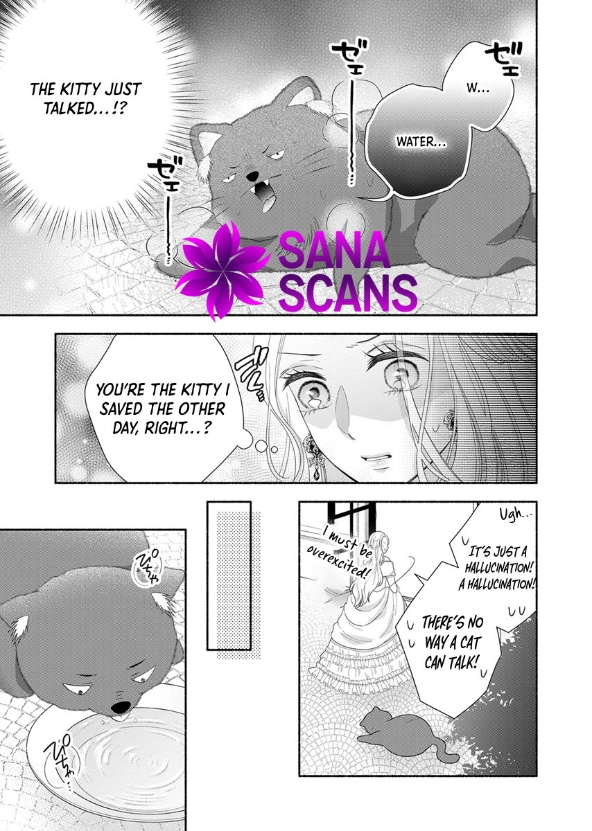 The Coldhearted Emperor and the Small Kingdom’s Princess’s White Marriage Chapter 3 - page 2