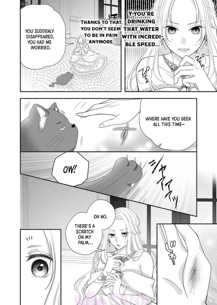 The Coldhearted Emperor and the Small Kingdom’s Princess’s White Marriage Chapter 3 - page 3