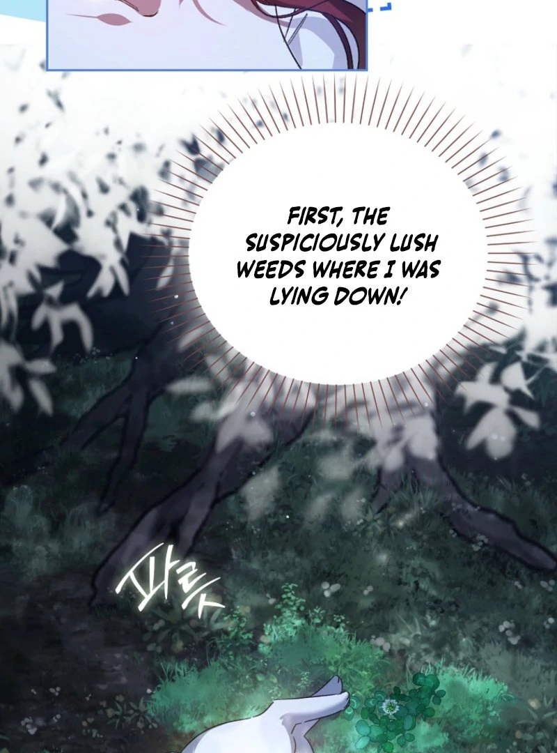 Marquis of Marron Chapter 2 - page 49