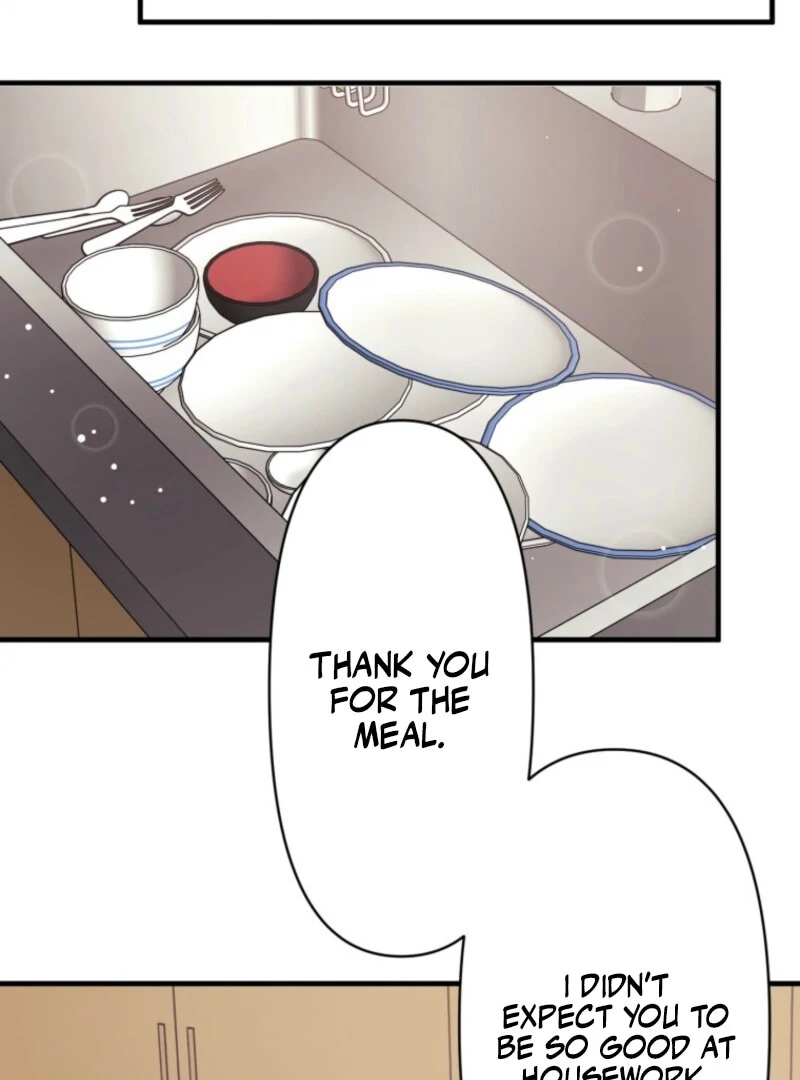 The Stray Cat Who Doesn’t Know the Greatest Love Song Chapter 3 - page 6