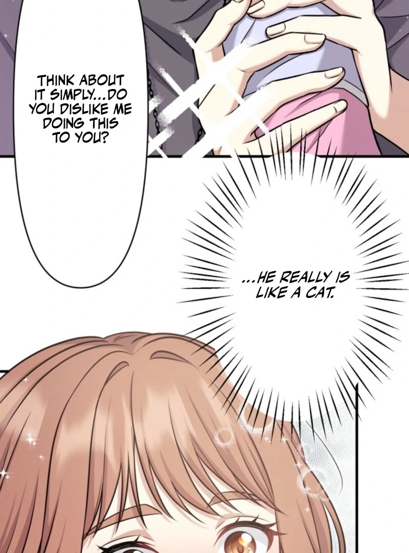 The Stray Cat Who Doesn’t Know the Greatest Love Song Chapter 4 - page 13