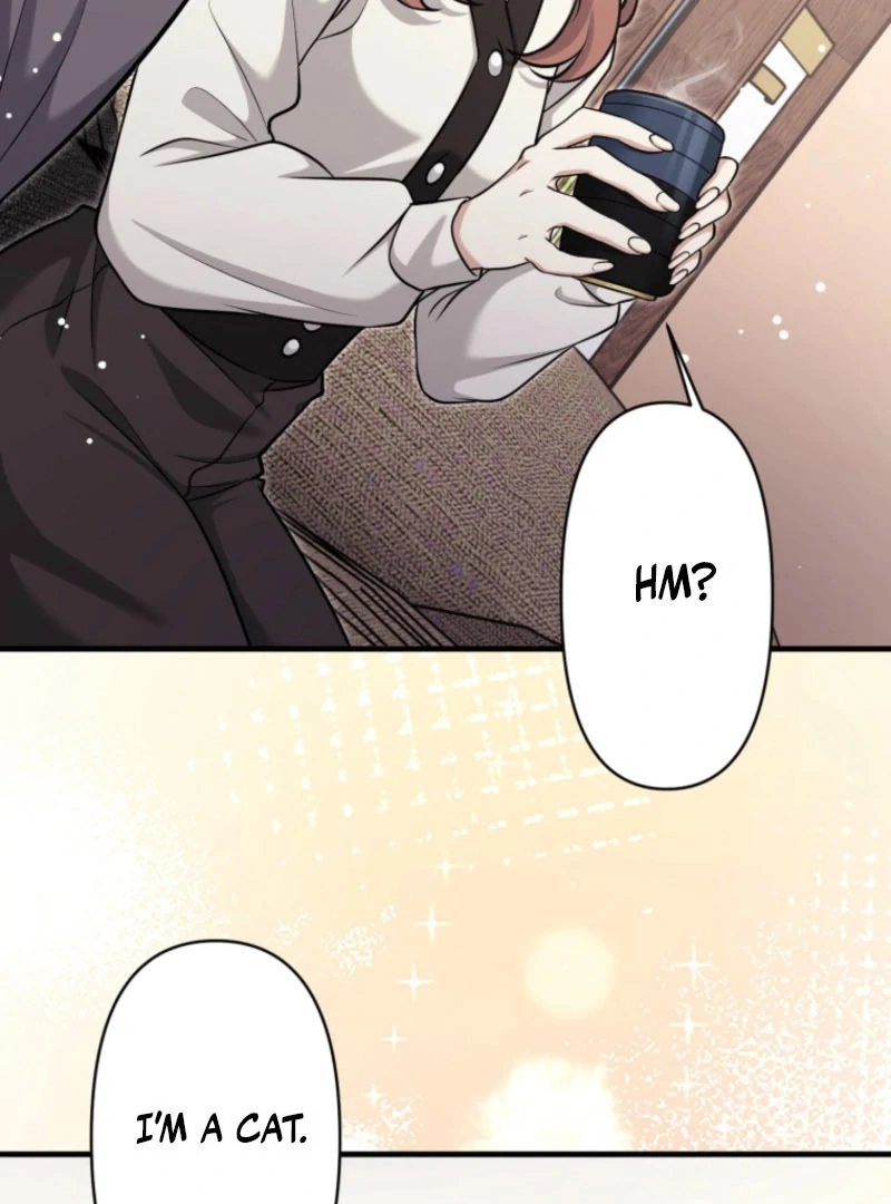 The Stray Cat Who Doesn’t Know the Greatest Love Song Chapter 13 - page 39
