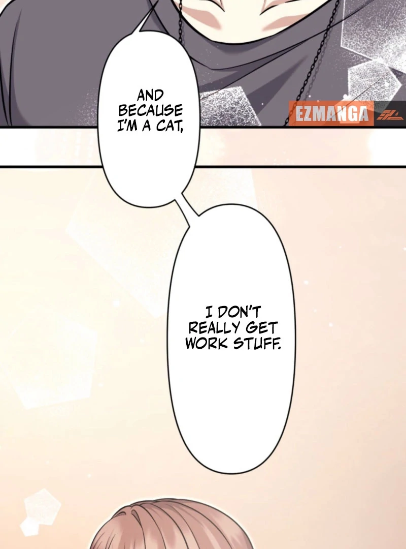 The Stray Cat Who Doesn’t Know the Greatest Love Song Chapter 13 - page 41
