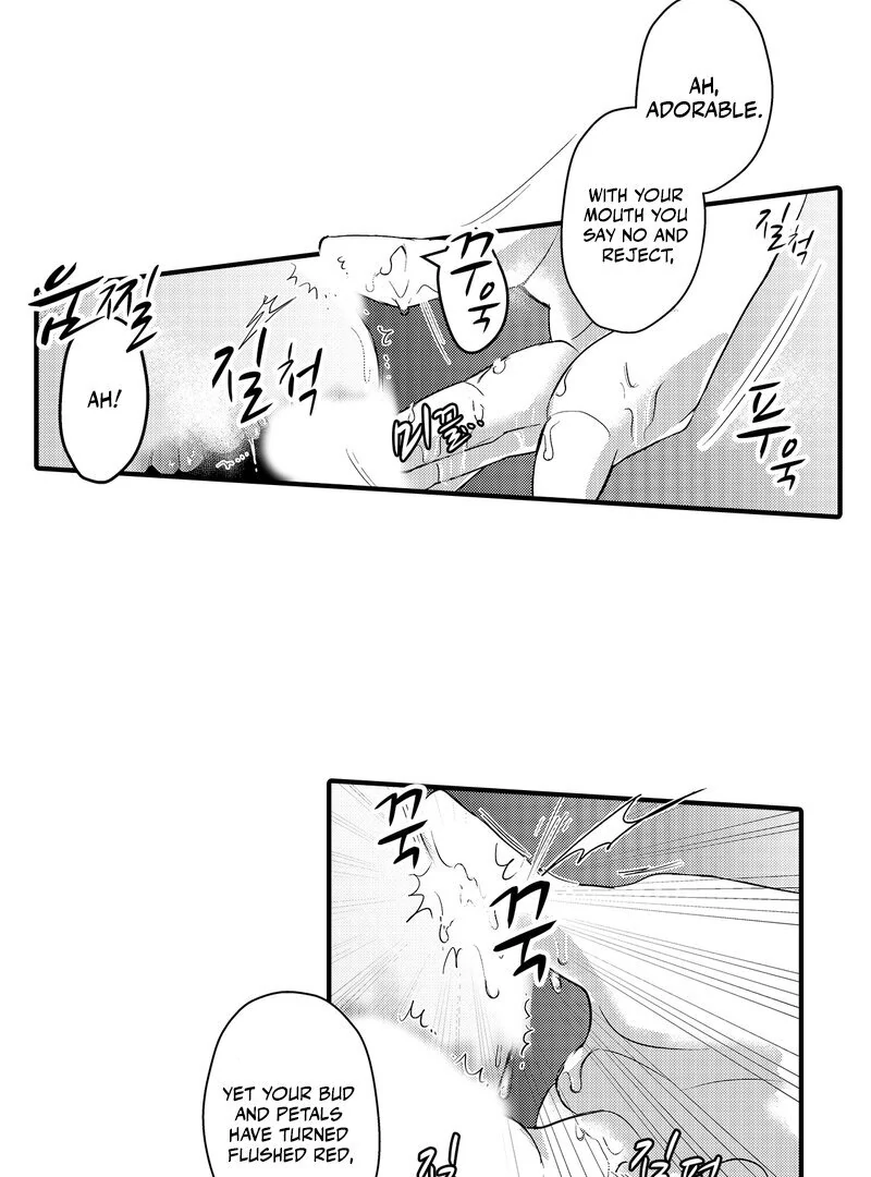 The Merciless Emperor’s Pet Consort Chapter 3 - page 21