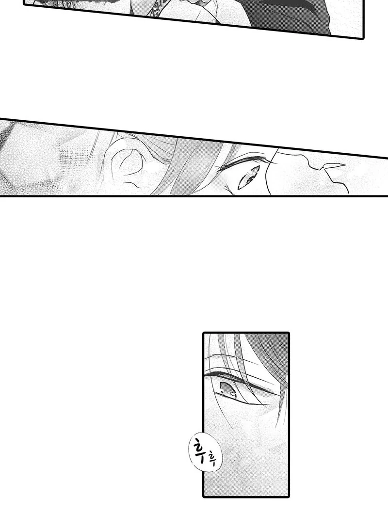 The Merciless Emperor’s Pet Consort Chapter 10 - page 25