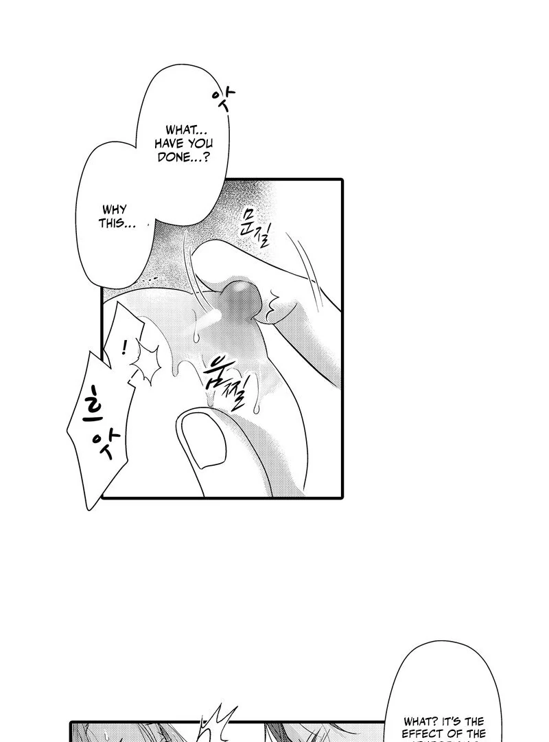 The Merciless Emperor’s Pet Consort Chapter 8 - page 21