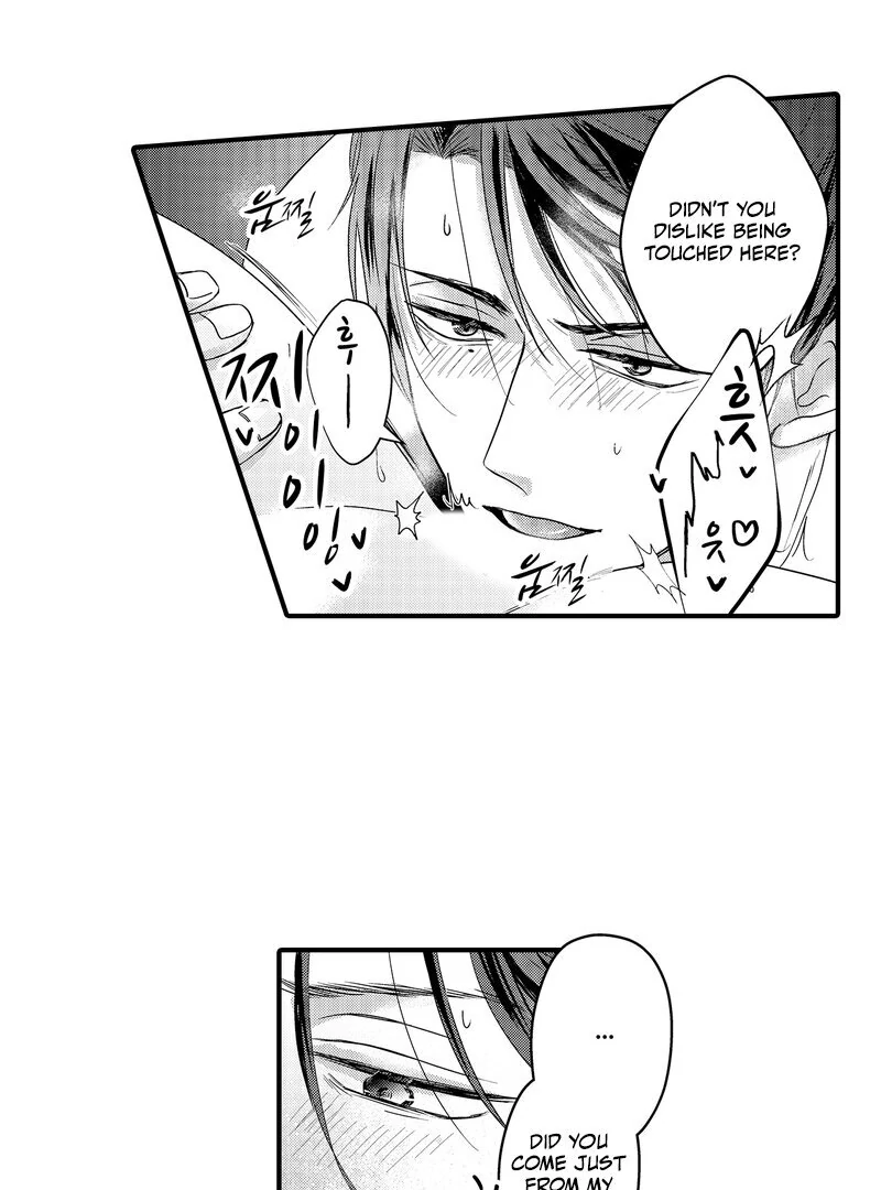 The Merciless Emperor’s Pet Consort Chapter 8 - page 37