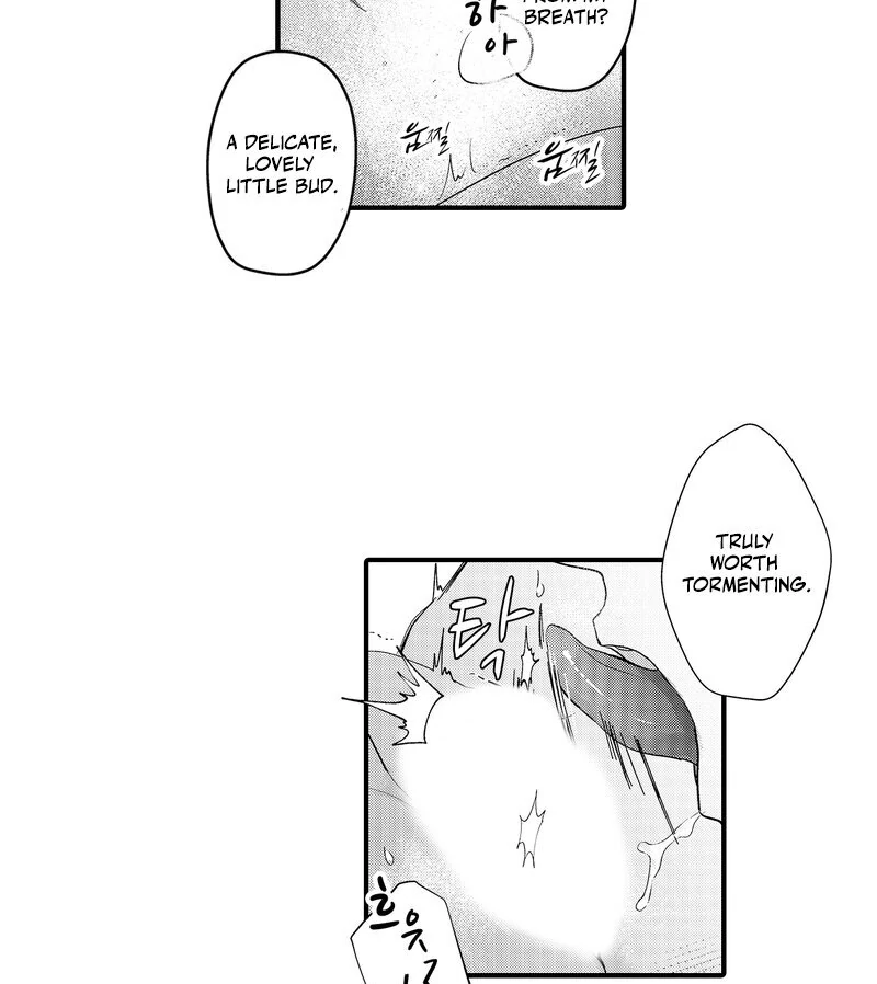 The Merciless Emperor’s Pet Consort Chapter 8 - page 38