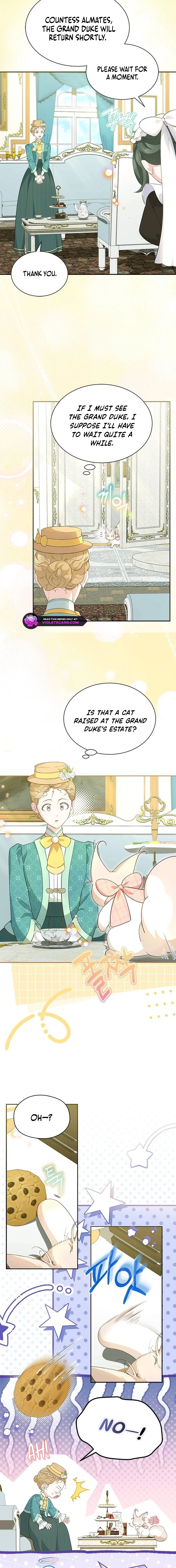 Why Are You Obsessed When I Reject Your Favor? Chapter 56 - page 17