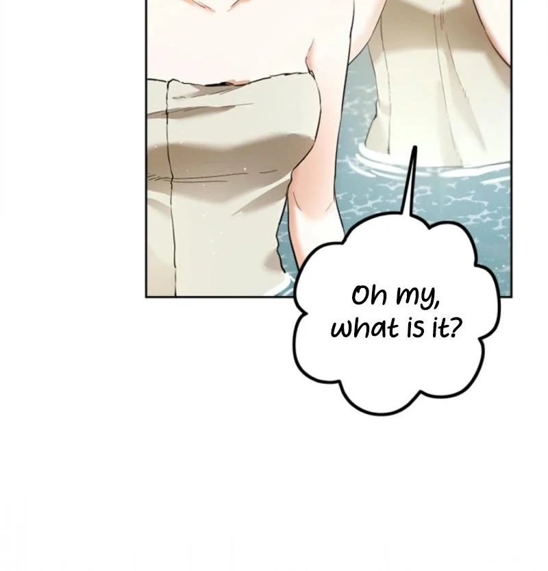 The Heiress's Double Life Chapter 125 - page 64