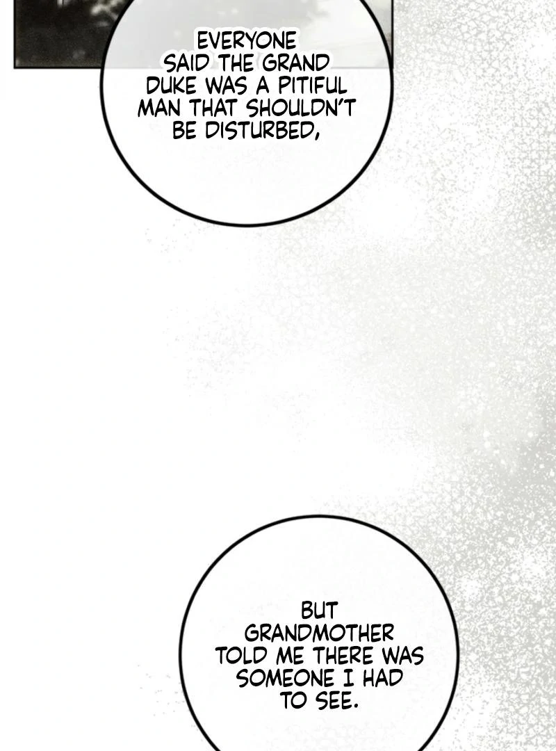 The Heiress's Double Life Chapter 125 - page 81