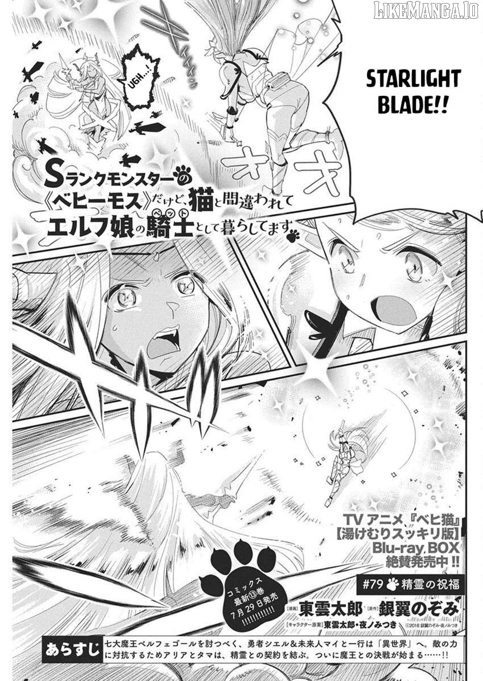 I Am Behemoth Of The S Rank Monster But I Am Mistaken As A Cat And I Live As A Pet Of Elf Girl Chapter 79 - page 2