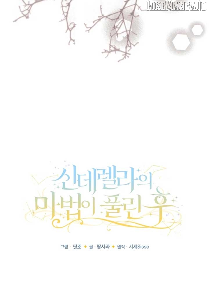 When Cinderella's Magic Fades Away Chapter 71 - page 47