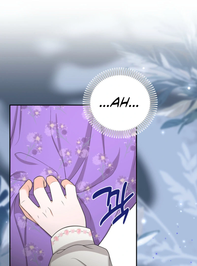 The S-Class Little Princess Is Too Strong Chapter 61 - page 67