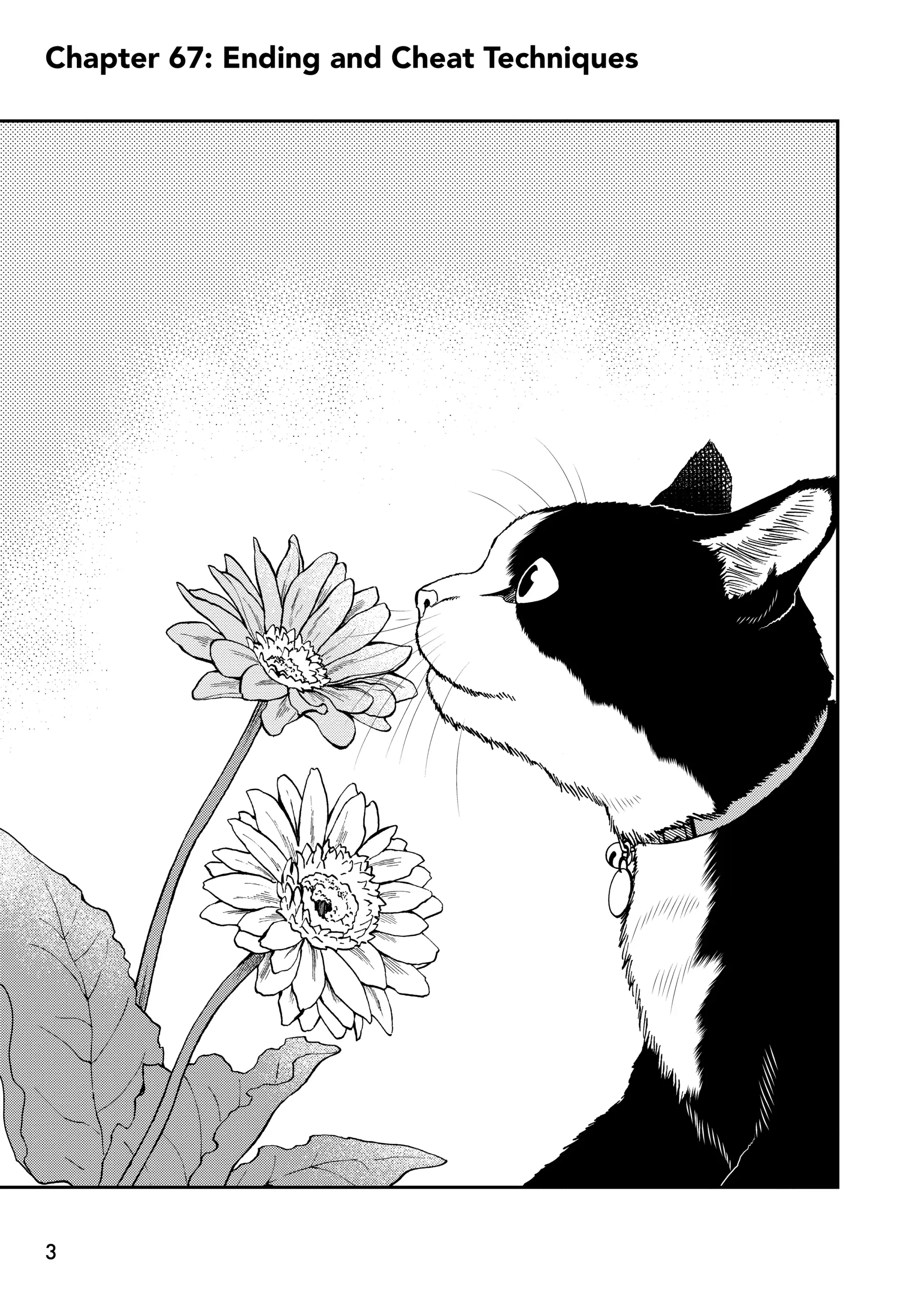 A Gamer Living With A Cat Chapter 67 - page 4