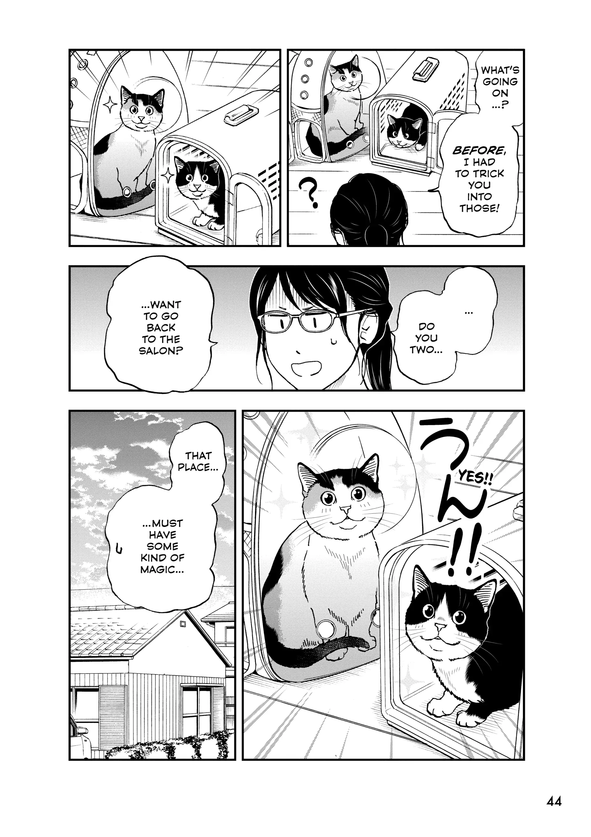 A Gamer Living With A Cat Chapter 69 - page 14