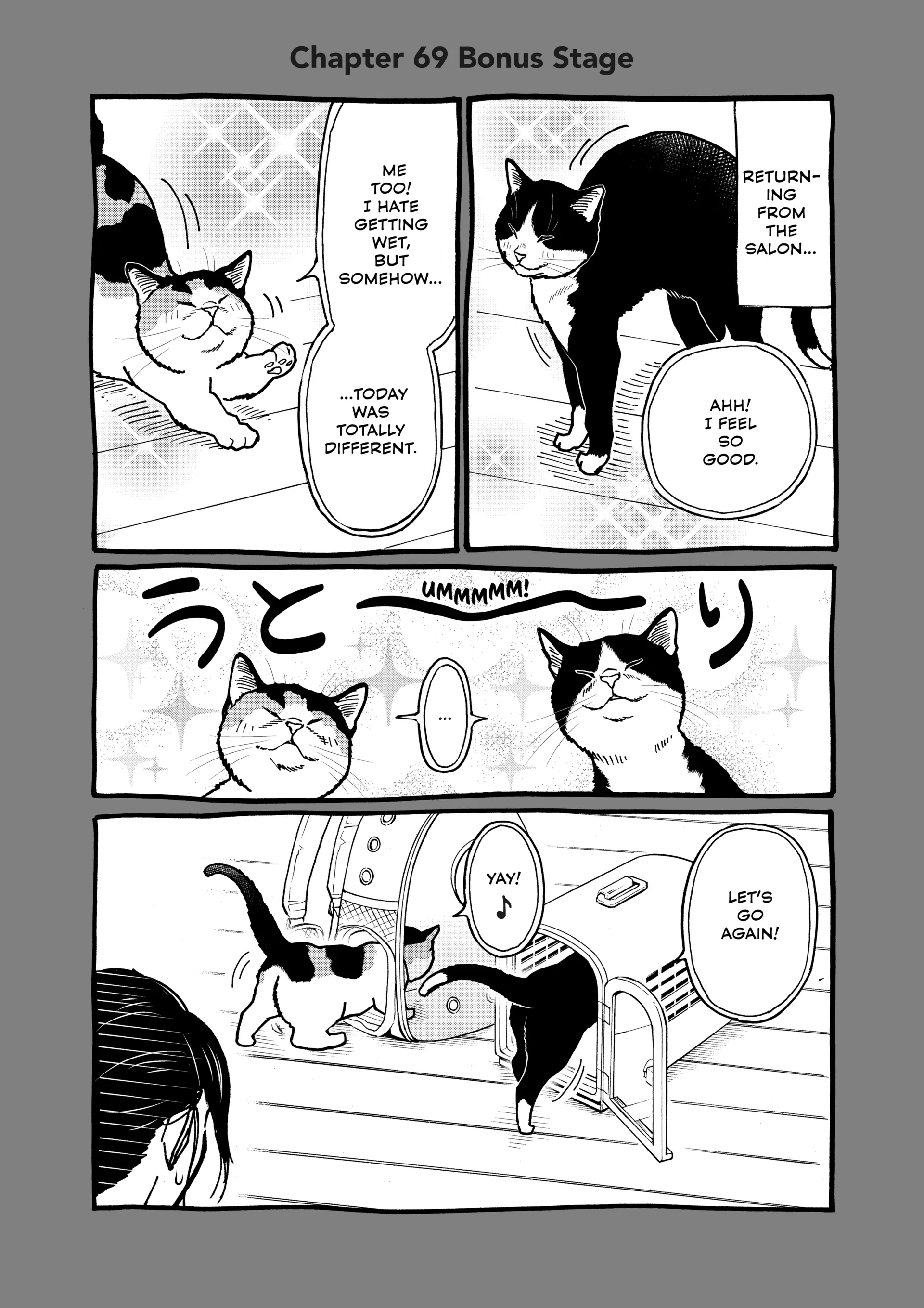 A Gamer Living With A Cat Chapter 69 - page 15